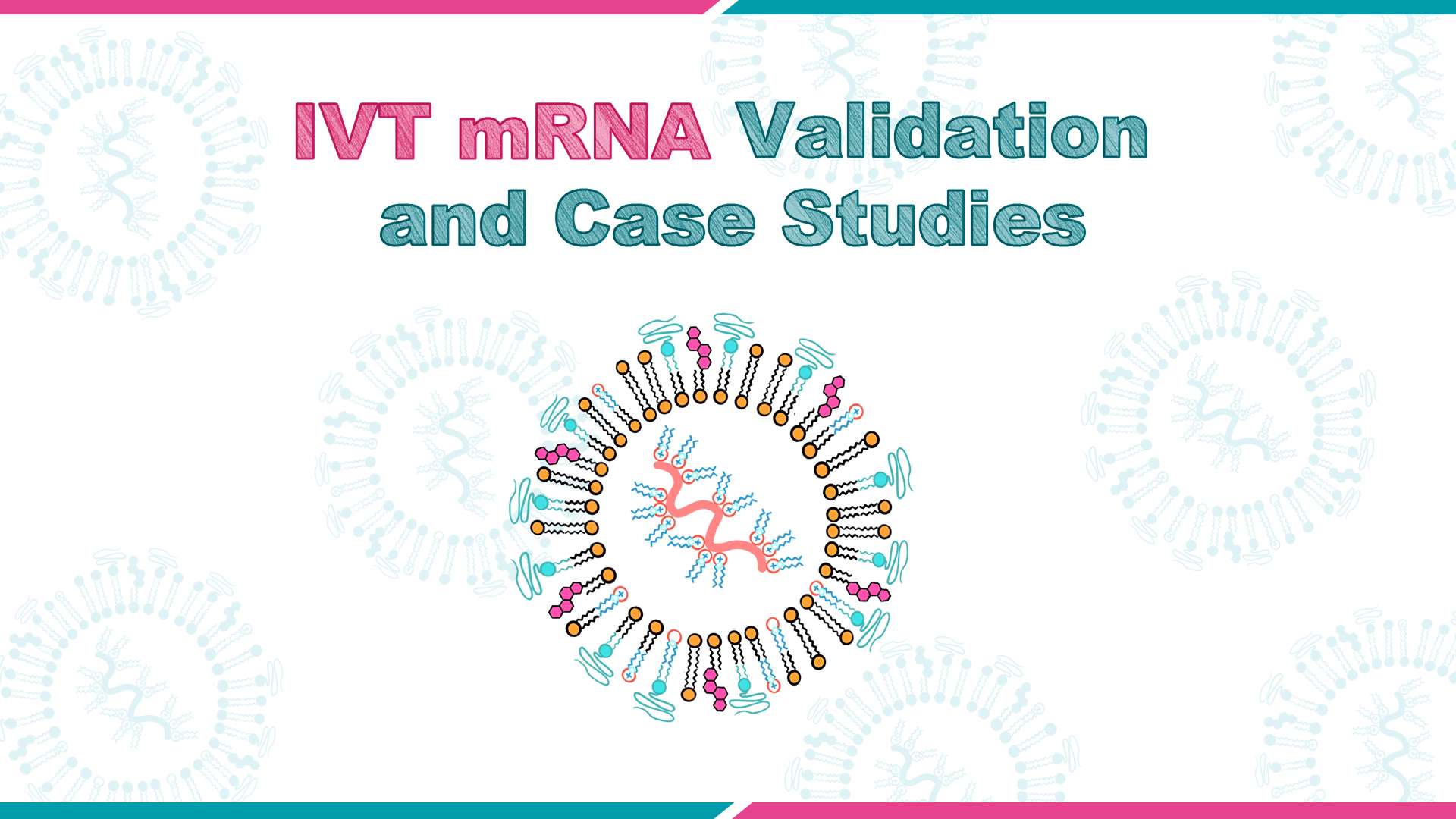 IVT mRNA Validation and Case Studies_VectorBuilder