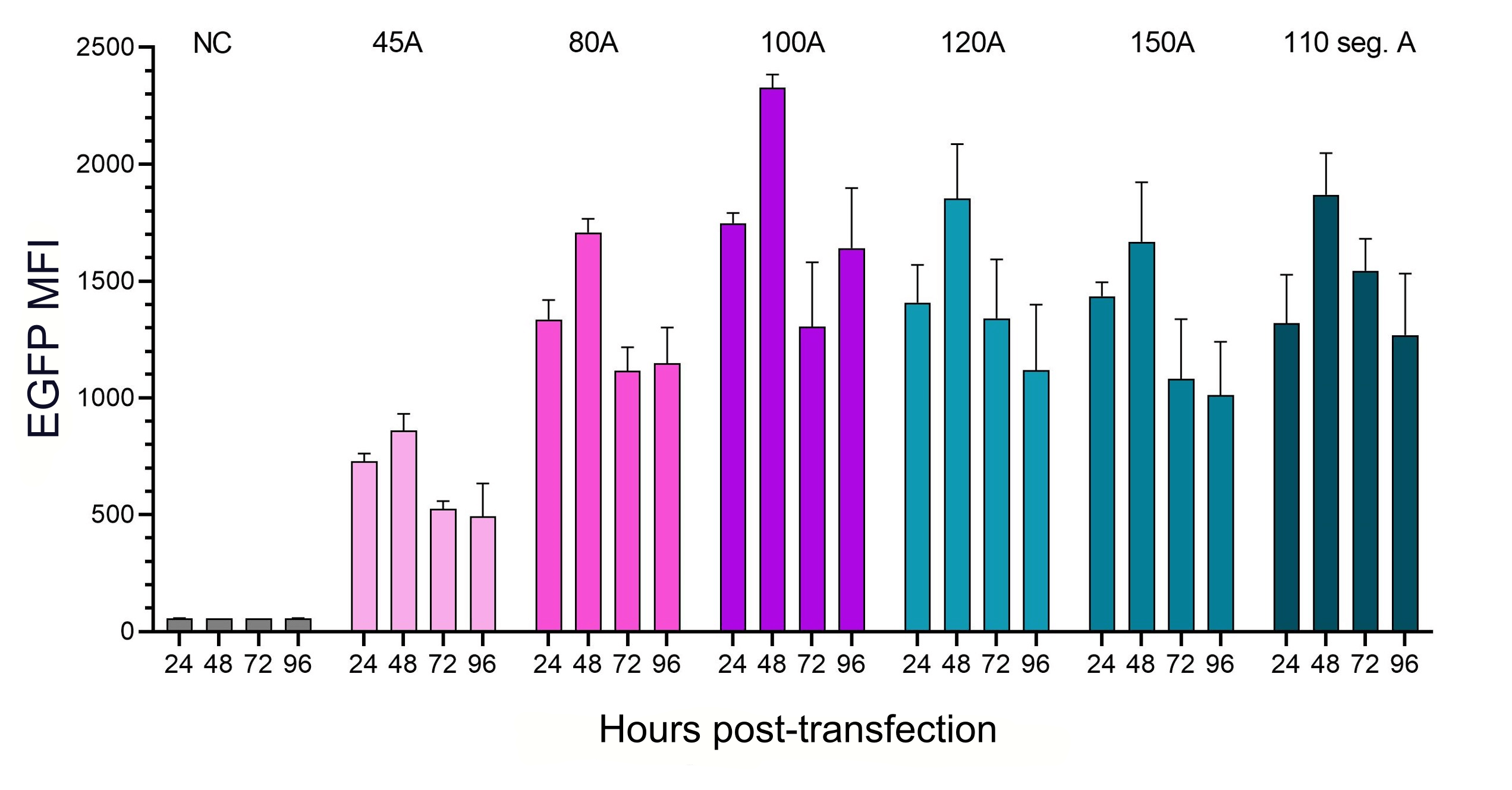 The influence of polyA length and structure on translational efficiency