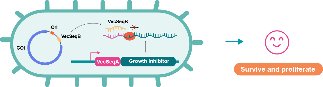  Mechanism of selection with miniVec