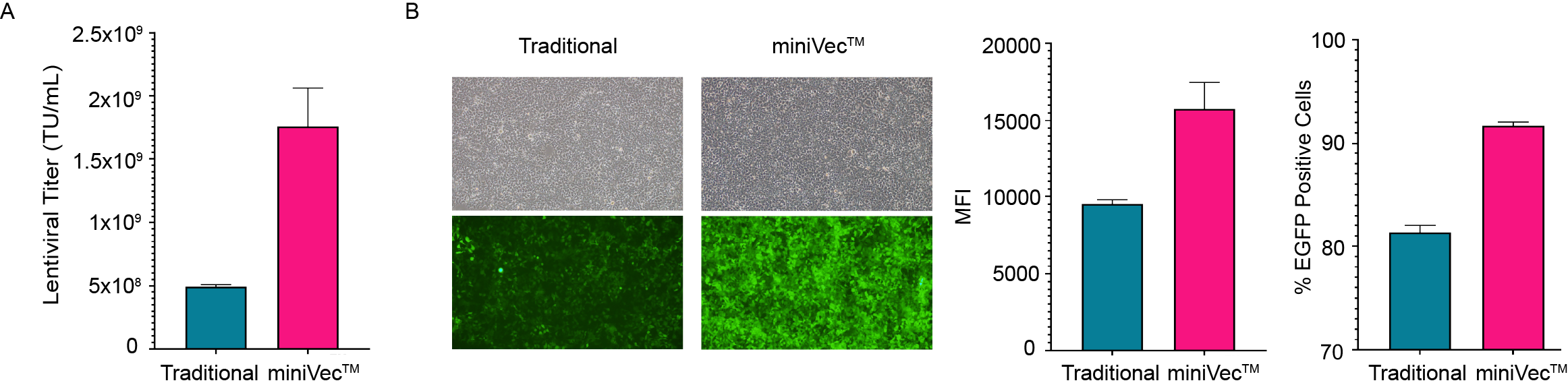 Comparison of lentivirus packaging using traditional and miniVec™ plasmids