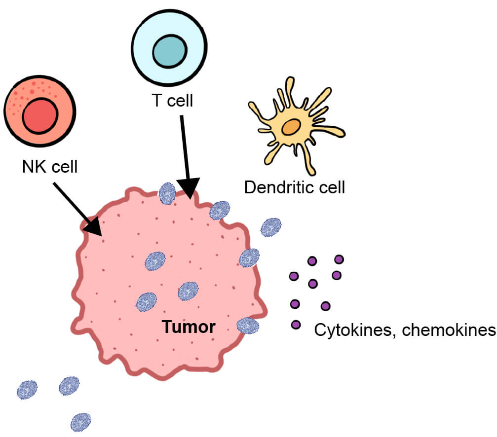 tumor_attacked_by_immune_cells_and_virus