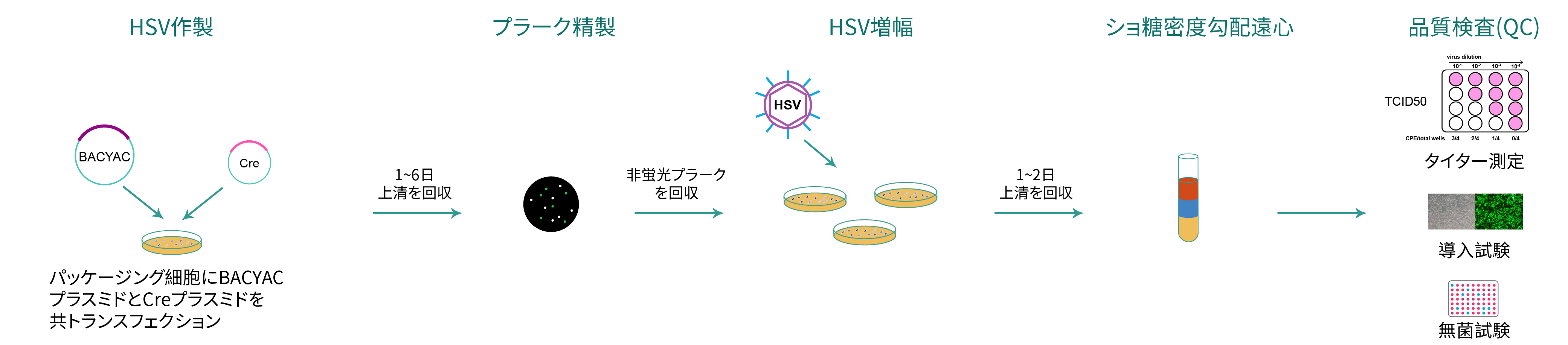 HSVパッケージングの製造と品質検査のワークフロー