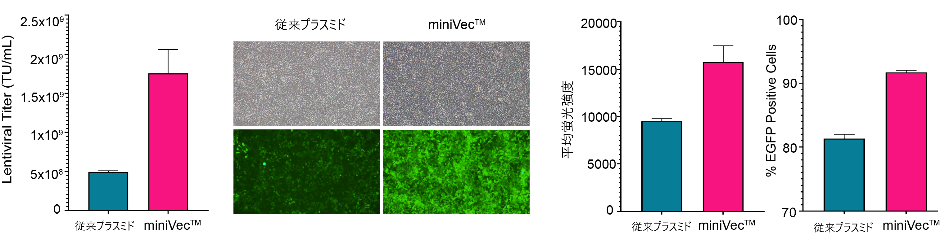Comparison of lentivirus packaging using traditional and miniVec™ plasmids