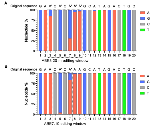 Validation of Adenine Base Editor (ABE) mRNAs in vitro.