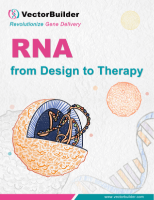 RNA-from-desing-to-therapy