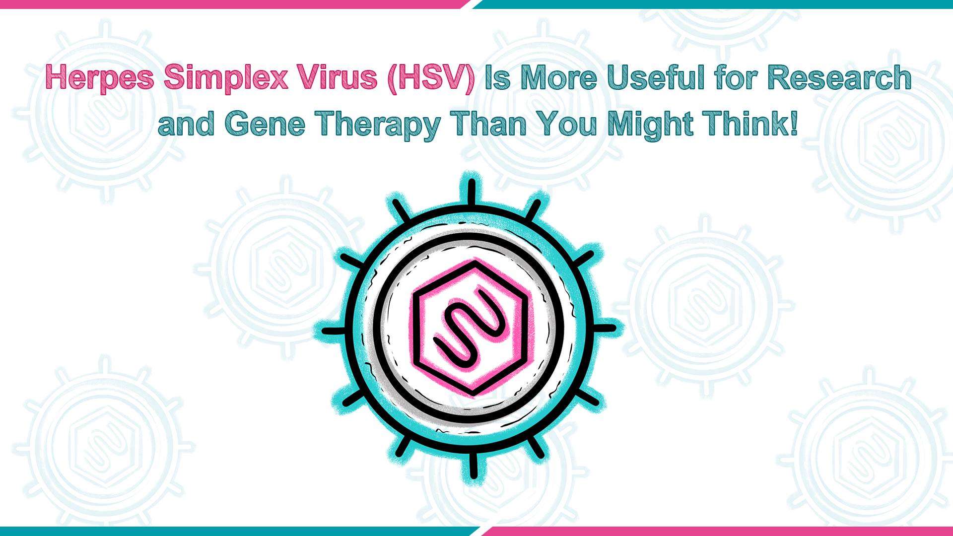 Herpes Simplex Virus (HSV) Is More Useful for Research and Gene Therapy Than You Might Think_VectorBuilder
