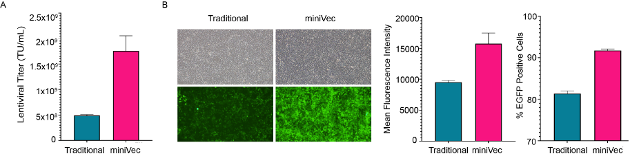 Comparison of lentivirus packaging using traditional and miniVec<sup>®</sup> plasmids