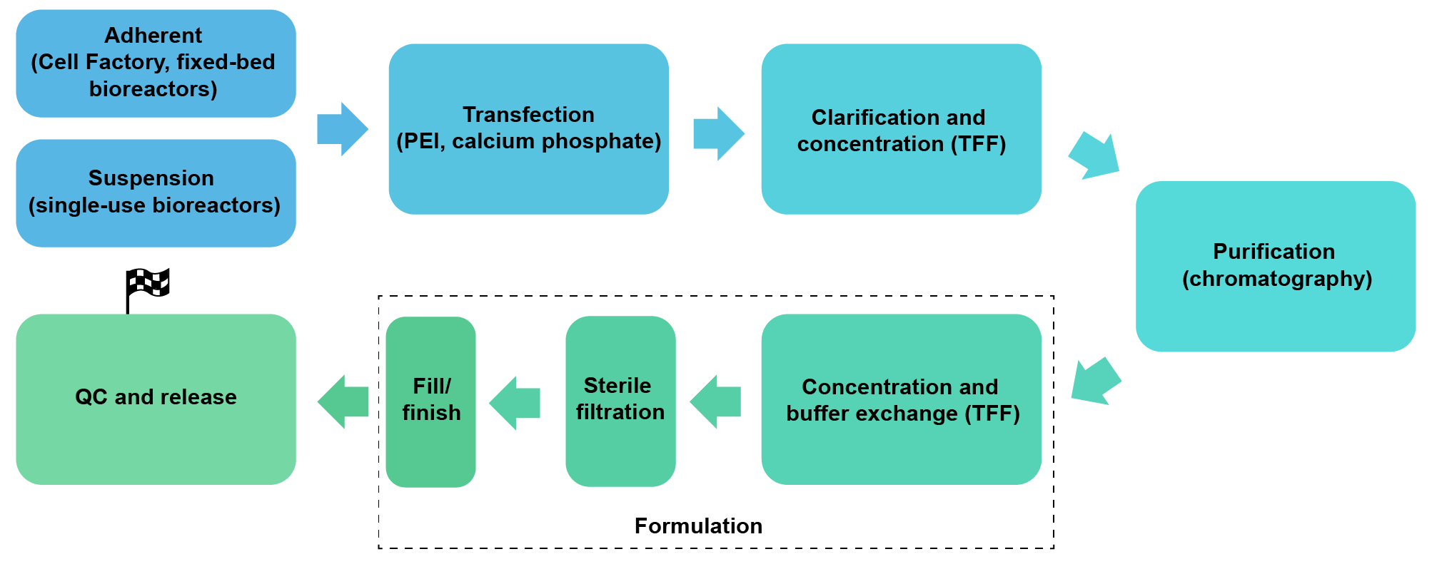 Adherent/Suspension > Transfection > Clarification and concentration (TFF) > Purification > Formulation > QC.