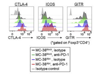 Lactic acid promotes PD-1 expression in regulatory T cells in highly glycolytic tumor microenvironments