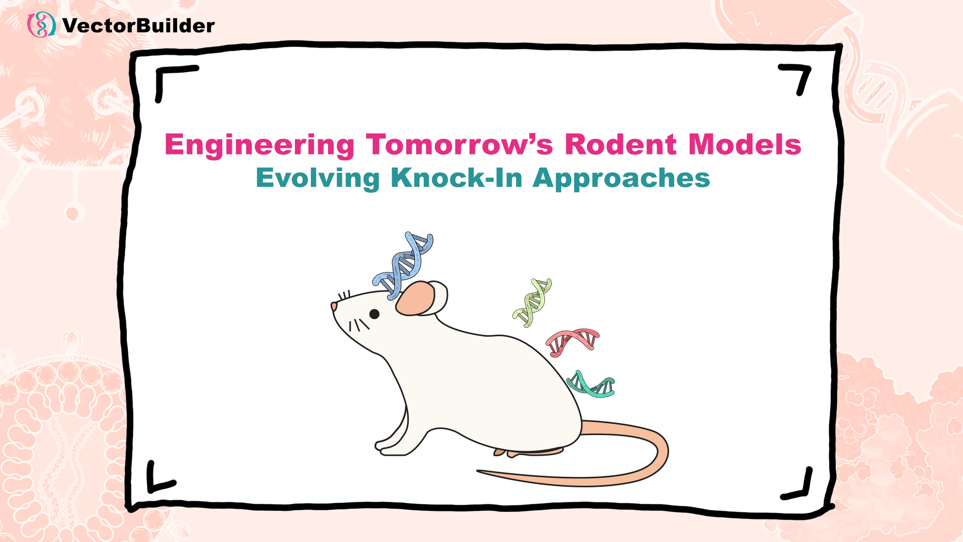 Engineering Tomorrow's Rodent Models: Evolving Knock-In Approaches