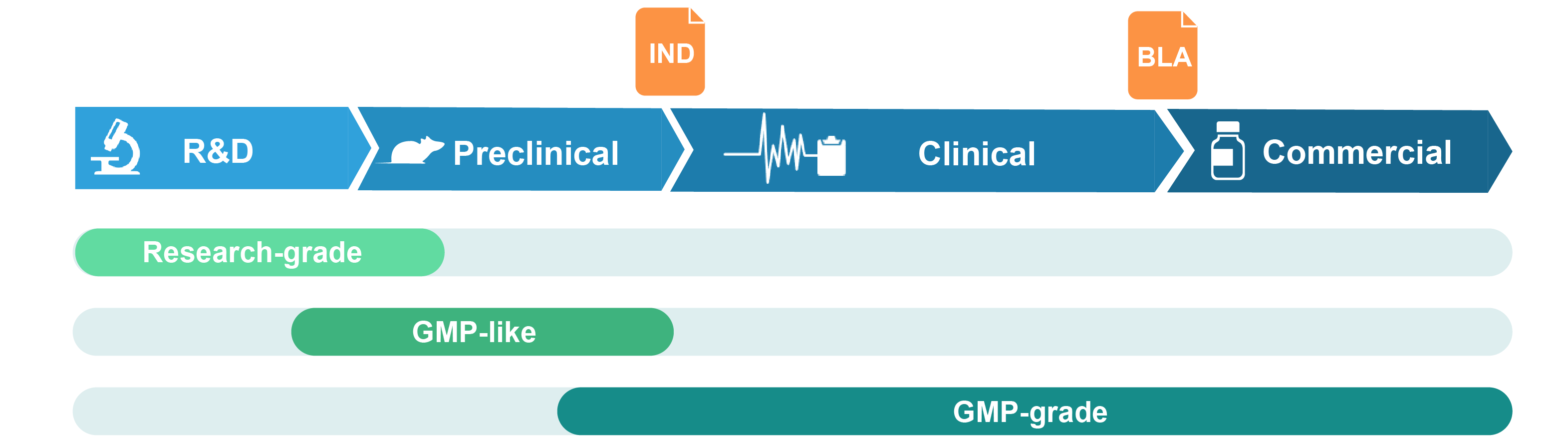 GMP-like viral vectors for preclinical studies and GMP-grade plasmid for clinical and commercial use.