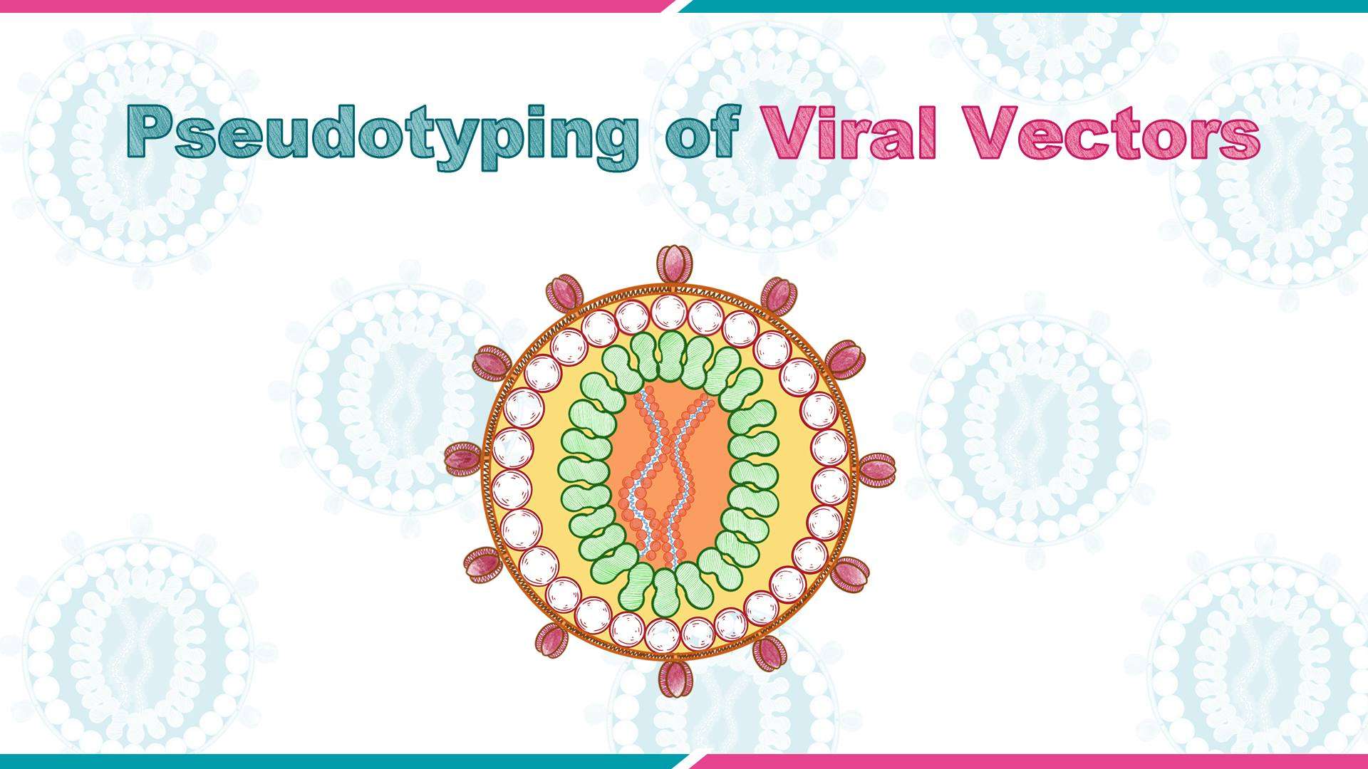 Pseudotyping of Viral Vectors_VectorBuilder