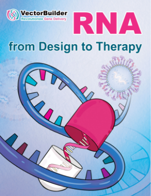 RNA-from-desing-to-therapy