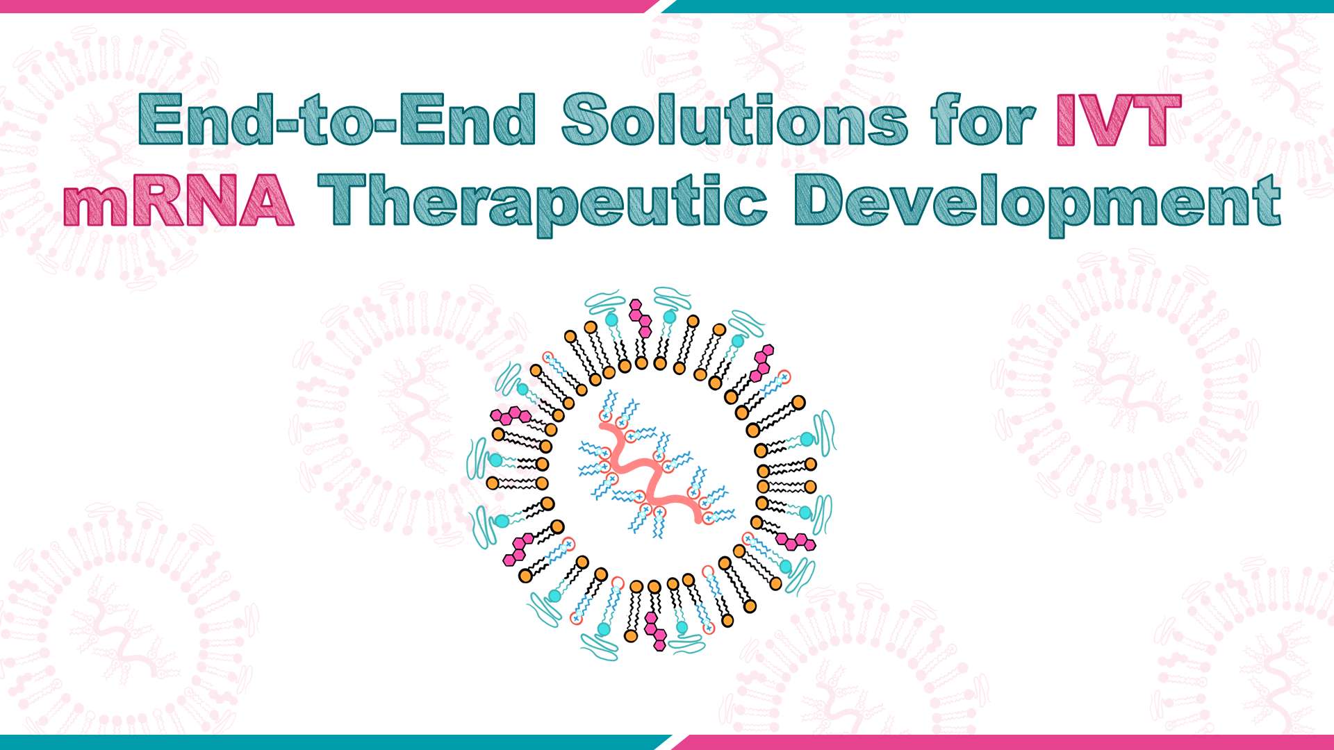 End-to-End Solutions for IVT mRNA Therapeutic Development_VectorBuilder