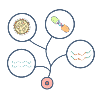 Comprehensive-IVT-RNA-platform