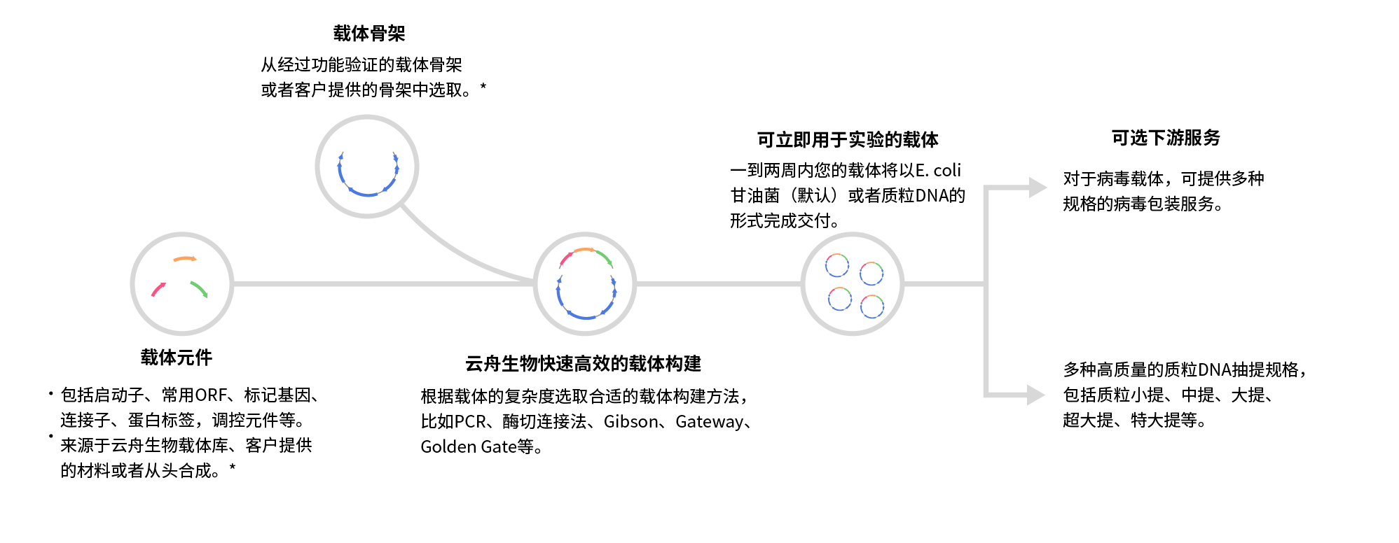 Overview and workflow of custom cloning services