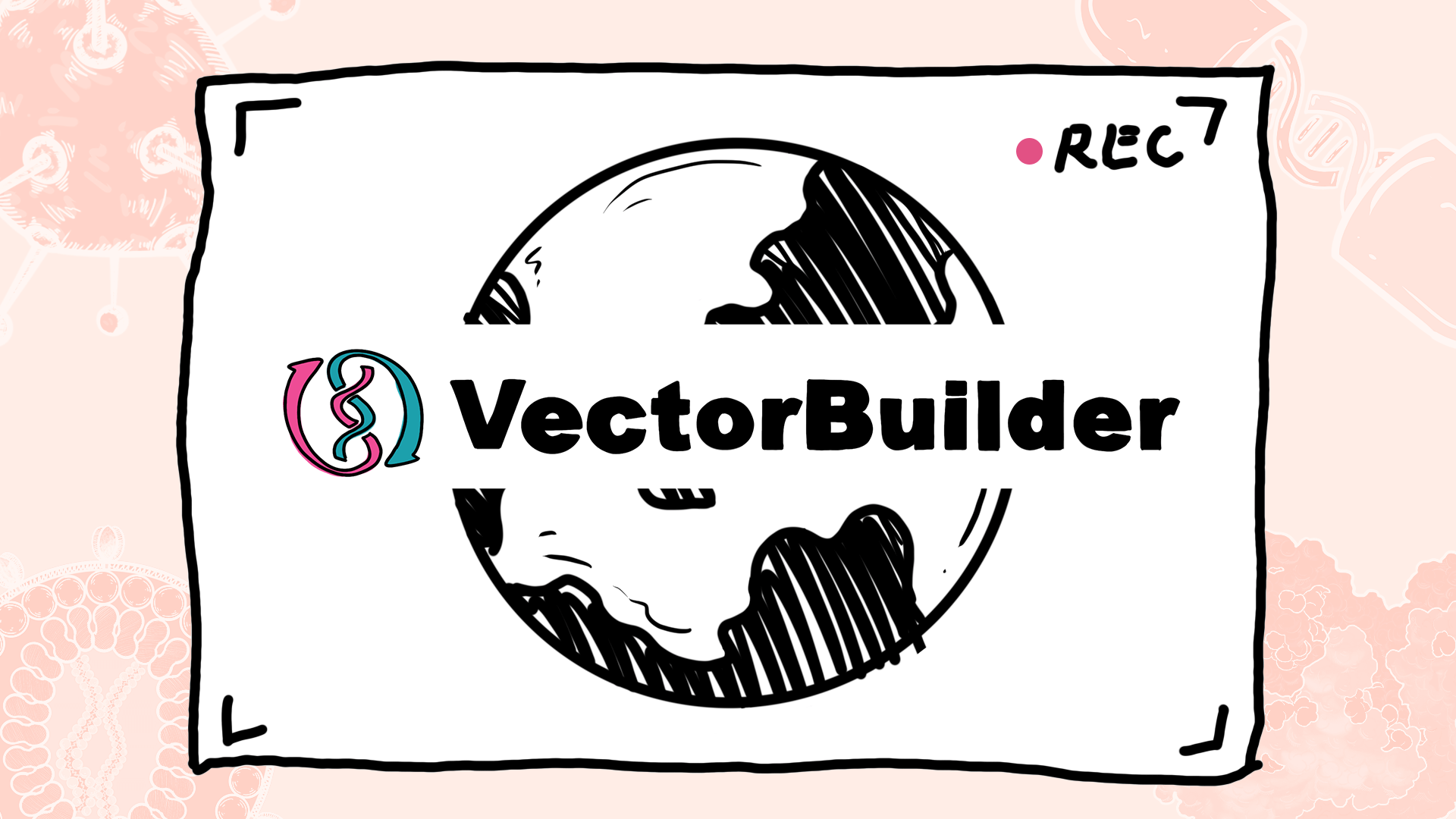 We Revolutionize Gene Delivery_VectorBuilder