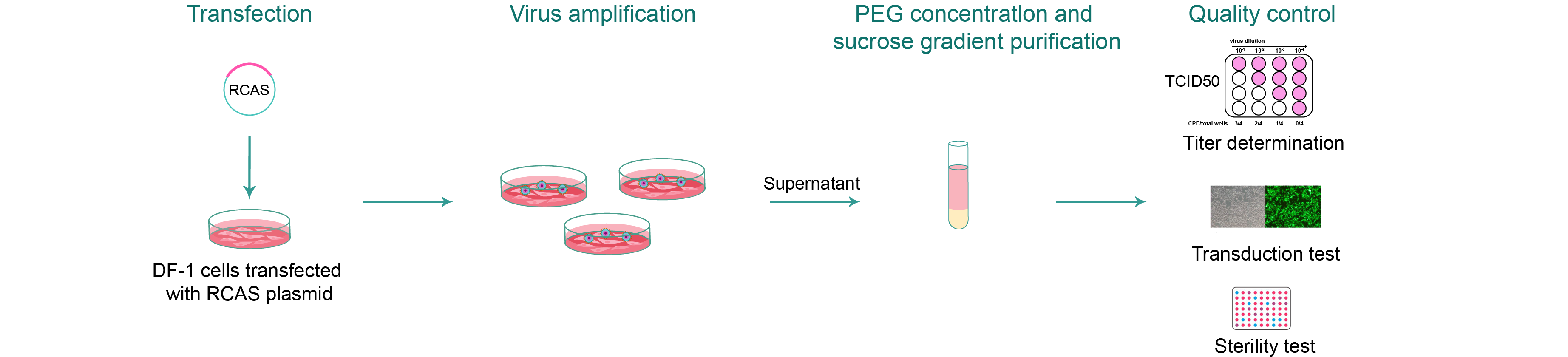 Typical workflow of RCAS packaging