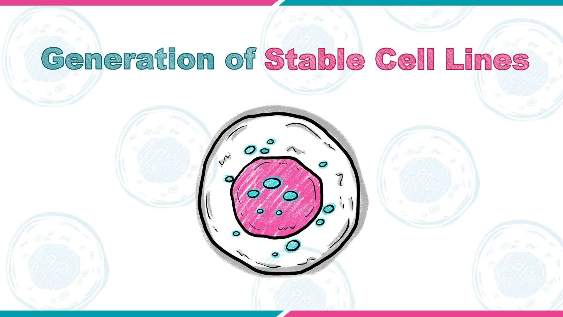 Generation of Stable Cell Lines_VectorBuilder